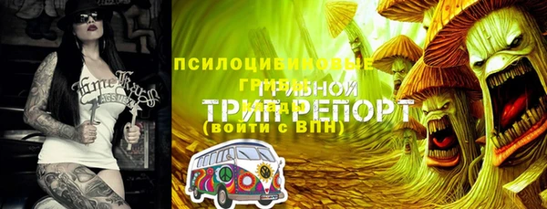 скорость Абаза