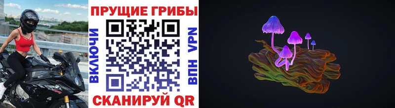 Галлюциногенные грибы мицелий МЕГА ссылка Орск магазин